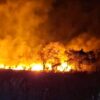 Kebakaran Lahan di Baubau Meluas Akibat Angin Kencang, Damkarmat Butuh 1 Jam Isolasi Api