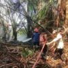Hutan Sagu di Konawe Terbakar 1 Hektare, Warga Diduga Sengaja Bakar untuk Buka Sawah