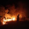 Kebakaran Lahan Berulang di Desa Komala Wakatobi, Diduga Dipicu Sisa Pembakaran