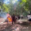 Polisi Bongkar dan Bakar Arena Sabung Ayam di Baubau, Pelaku Lolos Sebelum Digerebek