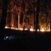 BPBD Petakan Sejumlah Wilayah Kendari Rawan Kebakaran Lahan, Ini Lokasinya
