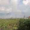 Kebakaran Lahan di Wakatobi, Api Nyaris Menjalar ke Puskesmas Waetuno