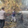 4 Hektare Lahan Gambut dan Pohon Sagu Terbakar di Konawe, Api Dekati Permukiman Warga