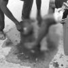 Kakek 74 Tahun di Mubar Digigit Buaya saat Mandi di Sungai Tiworo