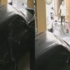 Aksi Pria di Kendari Terekam CCTV Hendak Mencuri, Pelaku Dikejar Pakai Parang