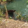 Diduga Dipengaruhi Alkohol, Mobil Sigra Terperosok ke Sungai di Baubau