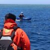 Kakek dan Cucunya Dilaporkan Hilang saat Memancing di Perairan Pulau Basa Bombana