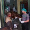 1 Karyawan Tambang yang Tertimbun Longsor di Konut Dilarikan ke Kendari untuk Perapian Jenazah