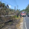 Api Hanguskan Lahan Hutan di Warangga, Muna, Diduga Sengaja Dibakar