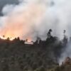 15 Hektare Kebun Cengkeh di Kolaka Terbakar, Medan Sulit Hambat Pemadaman
