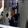 Pria Kendari Diduga Bobol Indekos, Aksinya Terekam CCTV