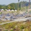 Kerja Ekstra Damkarmat Kendari Padamkan 9 Kebakaran Lahan dalam Sehari