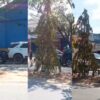 Tabrakan Beruntun Libatkan 4 Mobil di Baruga Kendari, Diselesaikan Secara Kekeluargaan