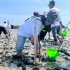 Peringatan Harhubnas 2026 dengan Tanam 800 Bibit Mangrove di Ranooha Raya, Konsel