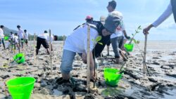 Peringatan Harhubnas 2026 dengan Tanam 800 Bibit Mangrove di Ranooha Raya, Konsel