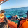 Korban Longboat Mati Mesin di Perairan Wakatobi Ditemukan Selamat