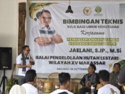 Jaelani Perkuat Kapasitas UMKM Sektor Kehutanan di Kendari dan Baubau