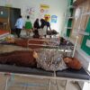 Korban Dugaan Keracunan MBG di Konawe Jadi 42 Orang, SPPG Tongauna-Asao Ditutup Sementara