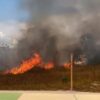 Lahan Kebun 2 Hektare Terbakar Dekat Kantor Kelurahan di Busel, Api Dipadamkan