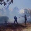 Bangsal Kayu dan Gudang di Poasia Kendari Terbakar, Diduga Api dari Pembakaran Sampah