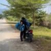 2 Pria di Kolut Kedapatan saat Curi Cengkeh, Polisi Turun Tangan