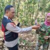 Diciduk Bakar Lahan di Tirawuta, Petani Koltim Diamankan Polisi