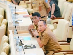 RDP DPR RI, Gubernur Sultra Sampaikan Persoalan Lahan Eks HGU PT Kapas di Konsel