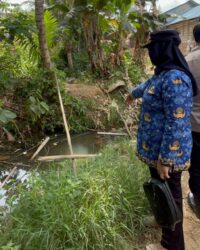 Jembatan Bambu Viral di Poasia Ternyata Akses Kebun, Bukan Jalan Umum ke SMPN 20 Kendari