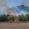 Kawasan Puncak Ahuawali di Konawe Ditutup Sementara Usai Terbakar, Seluruh Aktivitas Wisata Dihentikan