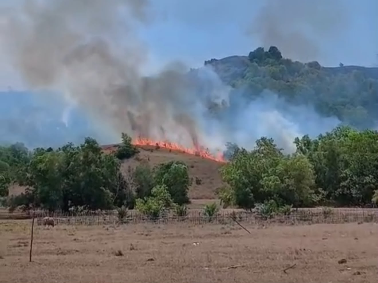 Kawasan Puncak Ahuawali di Konawe Ditutup Sementara Usai Terbakar, Seluruh Aktivitas Wisata Dihentikan Kawasan Puncak Ahuawali di Konawe Ditutup Sementara Usai Terbakar, Seluruh Aktivitas Wisata Dihentikan