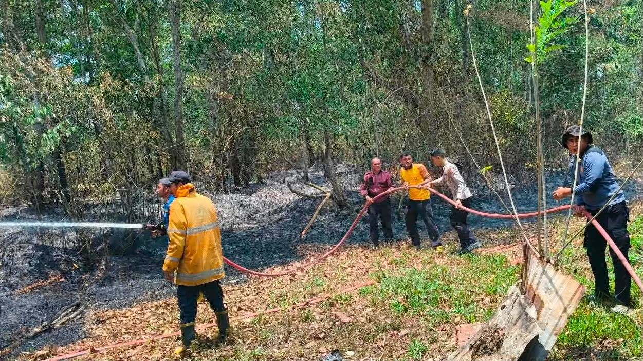 Kebakaran Lahan Seluas 1 Hektare Terjadi di Wundudopi, Kendari Kebakaran Lahan Seluas 1 Hektare Terjadi di Wundudopi, Kendari