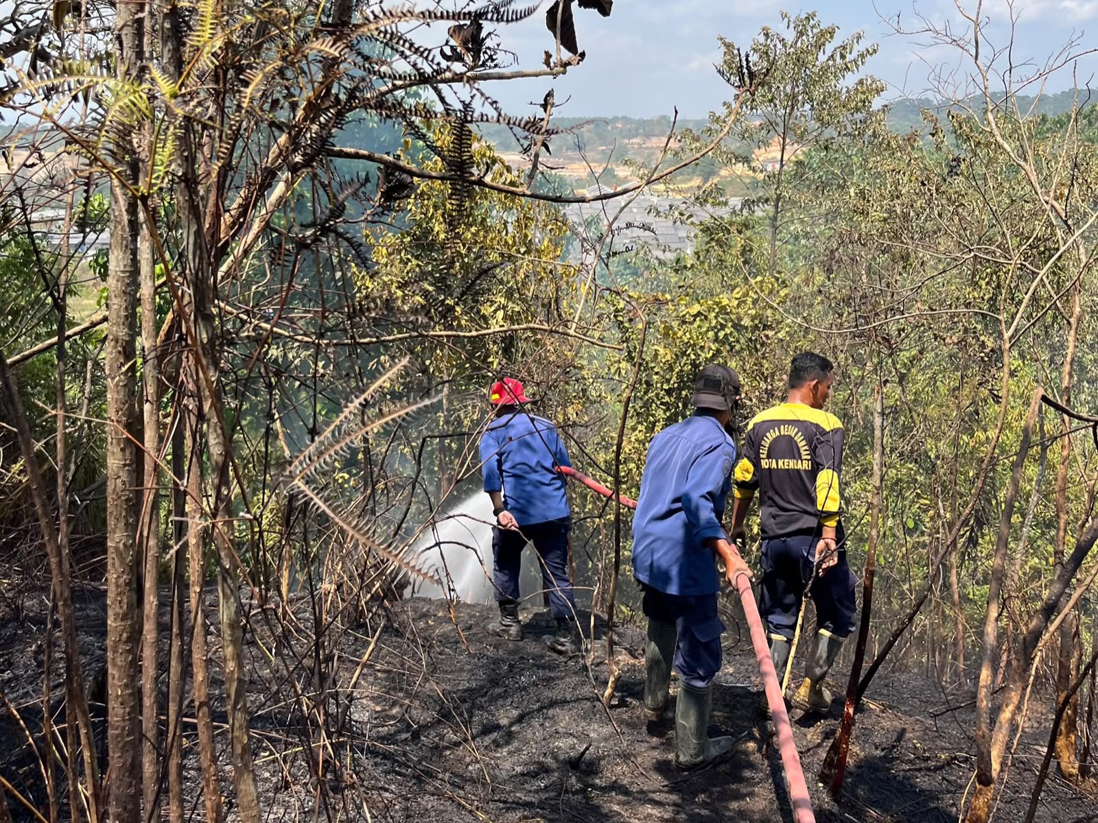 Kebakaran Lahan Masih Hantui Kendari, Damkarmat Kembali Berjibaku Padamkan Api di Kecamatan Wuawua Kebakaran Lahan Masih Hantui Kendari, Damkarmat Kembali Berjibaku Padamkan Api di Kecamatan Wuawua