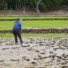 Pemerintah Tak Berdaya Tindak Perusahaan Perusak Lingkungan, Petani Kolaka Terus Jadi Korban