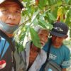 Lansia 80 Tahun yang Hilang di Kebun Koltim Ditemukan Selamat