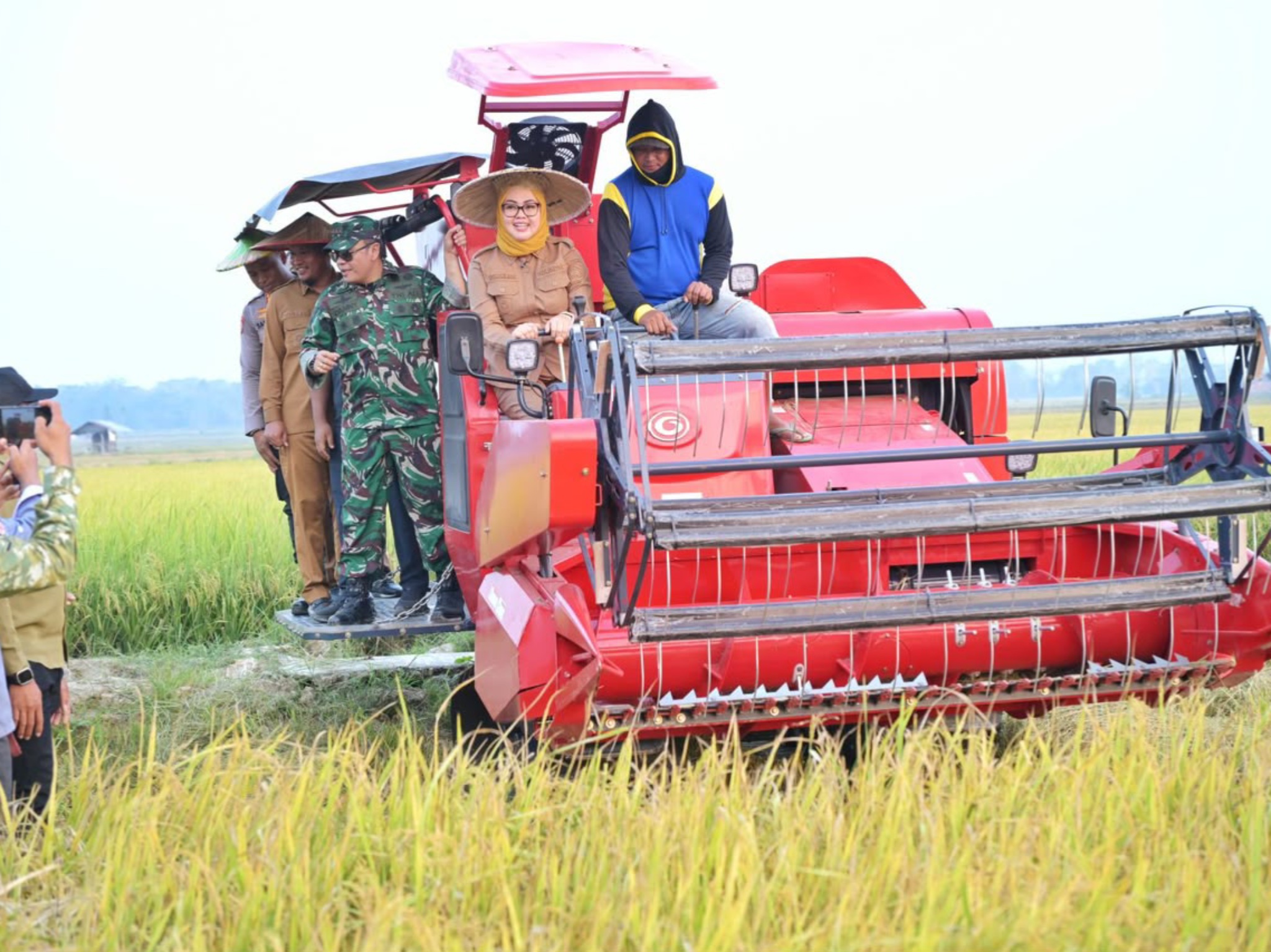 9 Hektare Sawah di Kendari Tetap Panen meski Kekeringan 9 Hektare Sawah di Kendari Tetap Panen meski Kekeringan