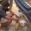 Satpol PP Kendari Beri Teguran Aksi Penimbunan BBM di Poasia, Ancam Diproses Jika Mengulang