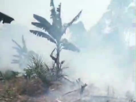 Lahan kebun sawit dan pisang di Desa Tondasi, Kecamatan Tiworo Utara, Kabupaten Muna Barat (Mubar) Sulawesi Tenggara (Sultra), penuh asap usai terbakar.