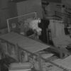 Toko Pakan Kucing di Kendari Disatroni Maling, Pelaku Terekam CCTV saat Beraksi