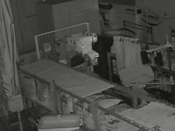 Toko Pakan Kucing di Kendari Disatroni Maling, Pelaku Terekam CCTV saat Beraksi Toko Pakan Kucing di Kendari Disatroni Maling, Pelaku Terekam CCTV saat Beraksi