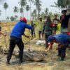 Buaya 3 Meter yang Resahkan Warga Dievakuasi Damkar Satpol PP Bombana