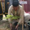 150 Bibit Flamboyan Ditanam di Busel, Perkuat Ketahanan Iklim dan Kesiapsiagaan Bencana