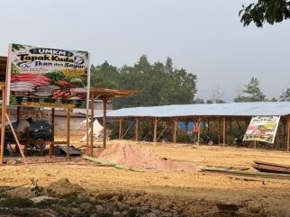 Pasar Tapak Kuda Terancam Dibongkar, Pemkot Kendari Sebut Lokasinya untuk RTH