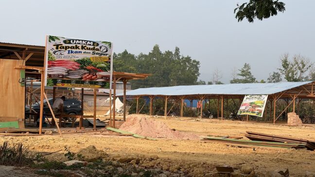 Pasar Tapak Kuda Terancam Dibongkar, Pemkot Kendari Sebut Lokasinya untuk RTH