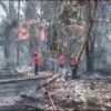 Sehari 3 Kali Kebakaran Lahan di Wakatobi, Mobil Damkar Terkendala Kabel Rendah