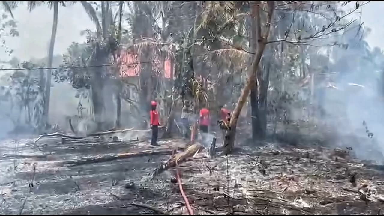 Sehari 3 Kali Kebakaran Lahan di Wakatobi, Mobil Damkar Terkendala Kabel Rendah Sehari 3 Kali Kebakaran Lahan di Wakatobi, Mobil Damkar Terkendala Kabel Rendah