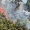 Kebakaran Lahan Gunung di Wolasi Konsel, Kabel Listrik Ikut Meledak