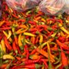 Gerakan Pangan Murah Kendari, Cabai Rawit Dijual Rp80 Ribu per Kg Berlaku Sampai Besok