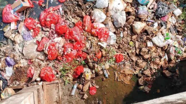 Warga Keluhkan Dugaan Pembuangan Limbah Potongan Sapi di Jembatan CBD Konut