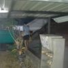 Pria di Kendari Diduga Curi Tabung Gas LPG Warga, Aksinya Terekam CCTV