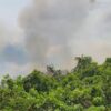 Api Membakar Lahan di Poasia Kendari, Warga Khawatir Merembet ke Permukiman